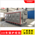 DZL2 chain grate biomass steam boiler 2 ton automatic mechanical chain particle steam furnace