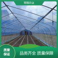 Qingcheng Agriculture has strong pressure resistance, and the design of a single thin film greenhouse has over 90% light transmittance and large lighting area