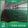 Qingcheng Agriculture Sunlight Sunshade and Insulation Greenhouse Mushroom Canopy Single Reflected Modern Planting Shed