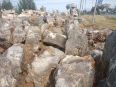 Construction of Turtle Stone Villa on the Revetment Natural Rocky Rock Material Qingpeng Garden Landscape