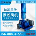 DSR65 Roots blower sewage tank for aerated aquaculture occupies a small area and is easy to maintain