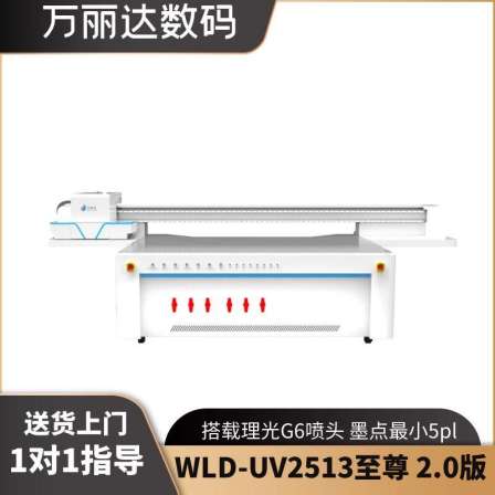 Wanlida decoration industry hallway painting Digital printing equipment Ricoh nozzle WLD-UV2513