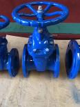 Yuanda Valve PN25 Soft Seal Gate Valve Z45X-25Q Ductile Iron Material Rubber Plate Epoxy Spray Plastic