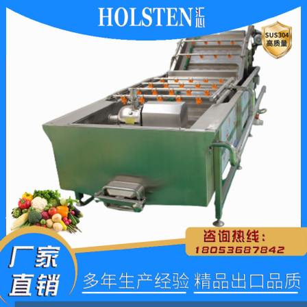 Commercial Eddy Current Fruit, Vegetable, and Meat Cleaning Machine Bamboo Shoot Bubble Mud Removal and High Pressure Spray Rinsing