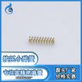 Manufacturer's direct sales compression small spring precision accessories can be customized