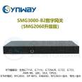 Synway Sanhui SMG3000-B2 60 channel digital gateway 2E1 relay access equipment TG voice gateway