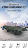 Sealed belt scale, constant speed conveyor belt measuring scale, dynamic flow scale, continuous weighing belt conveyor