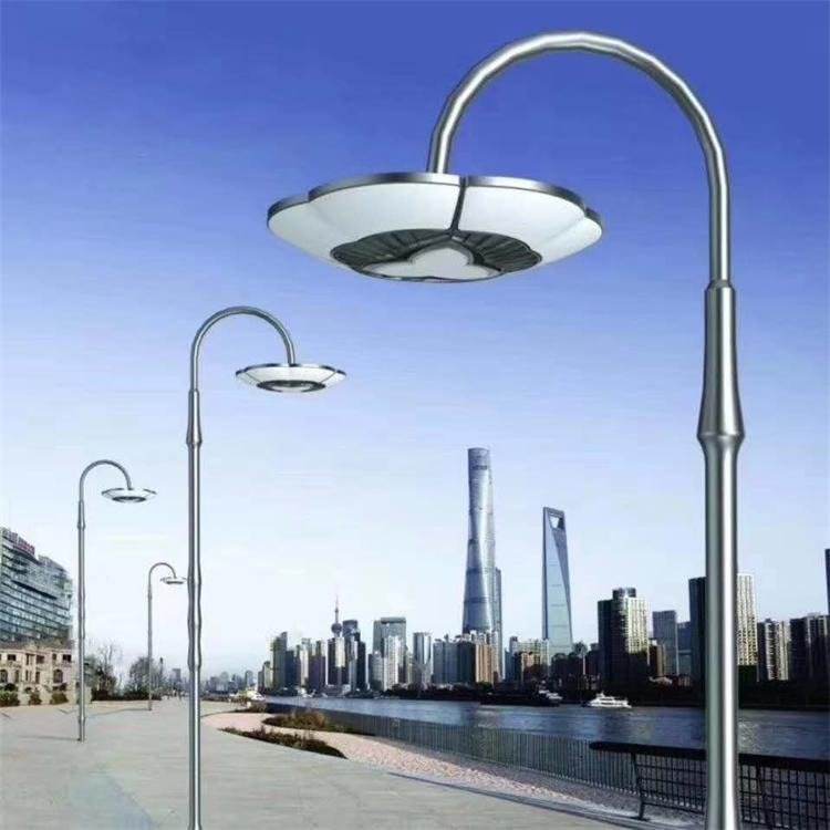 Xinyonghong Outdoor Scenic Area Garden Single Head Modern Courtyard Light 3.5m LED Courtyard Street Light