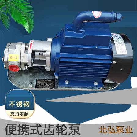 Production of WCB30 stainless steel portable pump portable explosion-proof 304 gear oil pump edible oil delivery pump