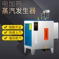 Fully automatic electric heating steam generator for concrete curing and chemical engineering in brewery and food factories