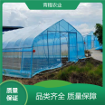 Qingcheng Agricultural Thin Film Greenhouse Greenhouse Construction, Fruit and Vegetable Agricultural Breeding, Large Daylight Area