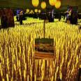 Luminous reed lamp, LED wheat ear lamp, solar outdoor garden lighting project, landscape 10 pieces/group