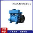 Baolai 2BE Water Ring Vacuum Pump Plastic Industry Water Cycle Gas Compression Pump and Vacuum Unit Customization