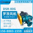 DSR80G high-pressure Roots blower with dual oil tank water cooling sewage treatment pneumatic conveying aeration fan