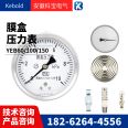 All stainless steel sanitary grade diaphragm clamp chuck shock resistant electric contact pressure gauge YTP-100MC