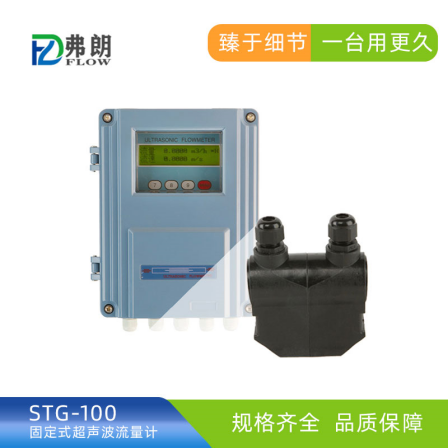 Fixed Ultrasonic Flowmeter STG-100 Insert External Mount Fran Electronics