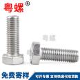 Extended Expansion Screw 304 Stainless Steel Screw Extra Long Ceiling Bolt Screw Rod Expansion Clothes Hanger Screw