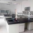 Experimental Platform Bioengineering Laboratory Furniture Central Platform All Steel Quality Innovation