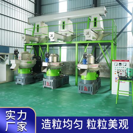 Shandong Granulator Zhangqiu Straw and Sawdust Granulation Equipment Fuel Feed Production Family Entrepreneurship Manufacturer Customization