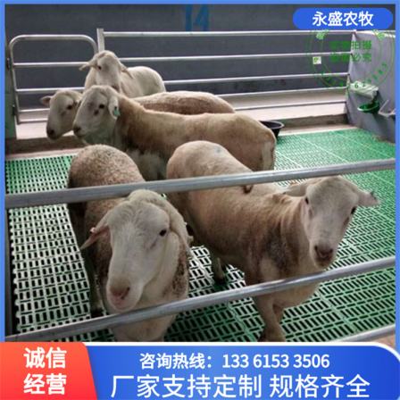 Composite sheep bed and fecal leakage board Plastic floor for sheep house and fecal leakage joint board supplied by the manufacturer