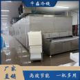 Instant Sea Cucumber Tunnel Type Quick Freezer Multifunctional Single Freezer Winged Fruit and Vegetable Low Temperature Quick Freezing Equipment