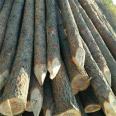 River flood prevention, pine stakes, landscaping engineering, green building, ground retaining, civil engineering, pile, cedar pole, round wood, Hongyuan Building Materials