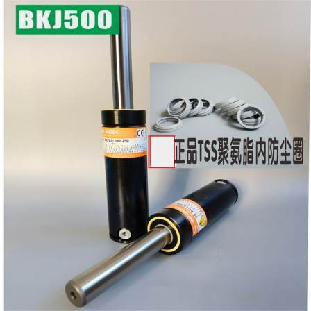 T3-170x38/U.0175.038 replaceable BKC1.7-038-106 nitrogen cylinder spring