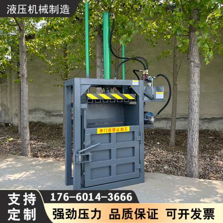 Small single cylinder vertical hydraulic baler rice straw reed straw baler waste paper waste compression
