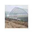 Taiyou Yi Film Greenhouse Greenhouse GR-004 Plastic Greenhouse Multi span Intelligent Greenhouse Design with Double Arch and Double Film