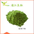 Spray dried summer sky powder extract multi specification water-soluble summer sky powder inventory package