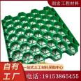 HDPE Grass Planting Grid Manufacturer River Slope Protection Garden Greening Grass Planting Grid 5cm Parking Space Grass Planting Grid