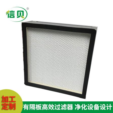 High efficiency filter with partition for customized processing in clean rooms, hospitals, and operating rooms