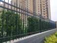 Zinc steel guardrails in residential areas, courtyard isolation guardrails, outdoor villas, iron protective fences, school factory walls, guardrails