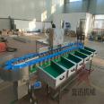 Passion fruit weight sorting machine Mango weighing and grading machine Fully automatic fruit sorting equipment