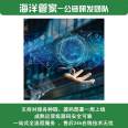 Public Chain Customization Platform Lingxiu Giant Computer Public Chain Game Smart Contract One Stop Service