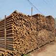 Yizhan Wood Industry has a high hardness and no deformation of wooden piles in the riverbank, which can be processed by its own forest farm