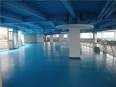 Epoxy floor paint Indoor garage floor oil based paint Workshop self-leveling cement floor paint