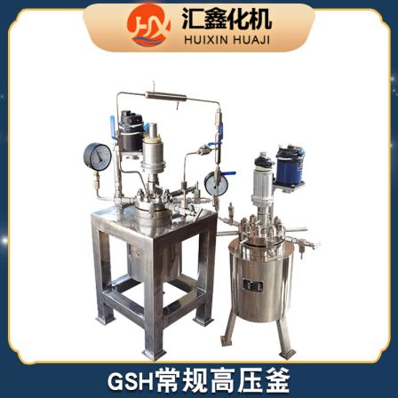 High pressure magnetic vertical reaction kettle for 50L small stainless steel laboratory