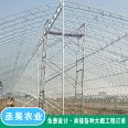 100c type steel greenhouse with good stability and strong compressive capacity for flower planting greenhouse, double membrane framework arch shed