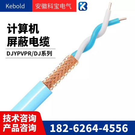 DJYVPDJYPVP22DYJVRP computer cable - polyethylene insulated shielded computer cable