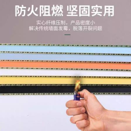 PVC Bamboo textile wallboard extruder equipment Ruijie fire retardant super wear-resistant green environmental protection