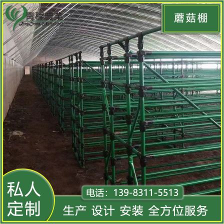 Qingcheng Agriculture Sunlight Sunshade and Insulation Greenhouse Mushroom Canopy Single Reflected Modern Planting Shed