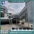 Spot catalytic combustion waste gas treatment complete equipment RCO activated carbon adsorption desorption catalytic combustion equipment