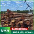 Chinese fir pile driving, flood prevention, and construction of Chinese fir pole. The original wooden pile has strong wind resistance and straight grain. Chinese fir