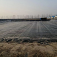 Dongyue Wanlide HDPE geomembrane aquaculture film reservoir anti-seepage can be customized