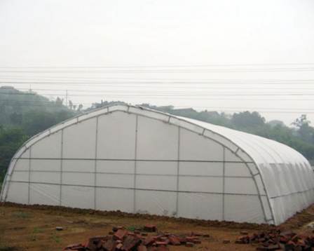 Planting succulent vegetables, strawberries, seedlings, and picking gardens in a multi-span film greenhouse, connected arch shed, serrated shed, and breeding greenhouse