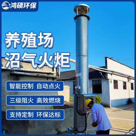 Landfill biogas torch Hongshuo breeding farm internal combustion biogas discharge equipment Garbage landfill biogas combustion torch