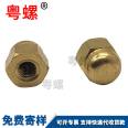 Production of copper hexagonal cap nut decorative nut H58 brass nut dome screw cap M5 M6 M8 M10