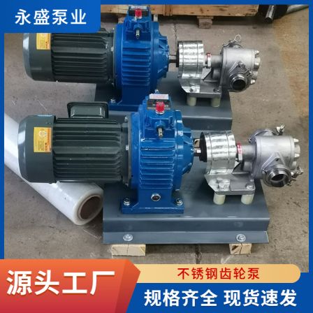 304 stainless steel gear pump electric horizontal pump explosion-proof Pumpjack high-temperature gear pump