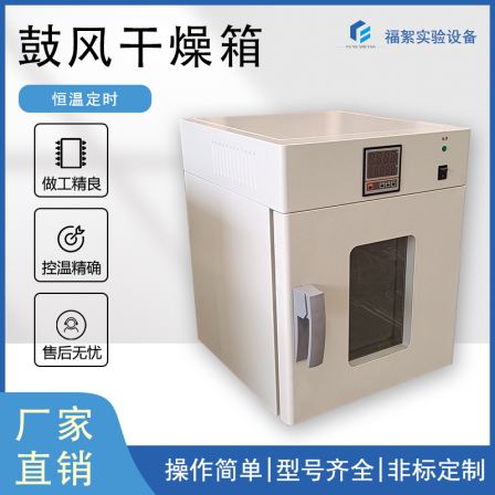 Fuxu Hot Air Circulation Electric Thermostatic Laboratory Scientific Research Blast Drying Box Vertical DHG-9030AB